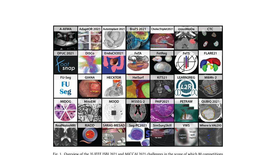 Biomedical competition image montage preview